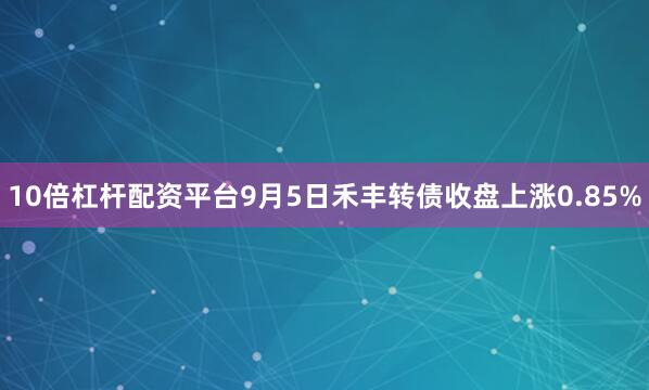 10倍杠杆配资平台9月5日禾丰转债收盘上涨0.85%